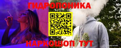ECSTASY Будённовск