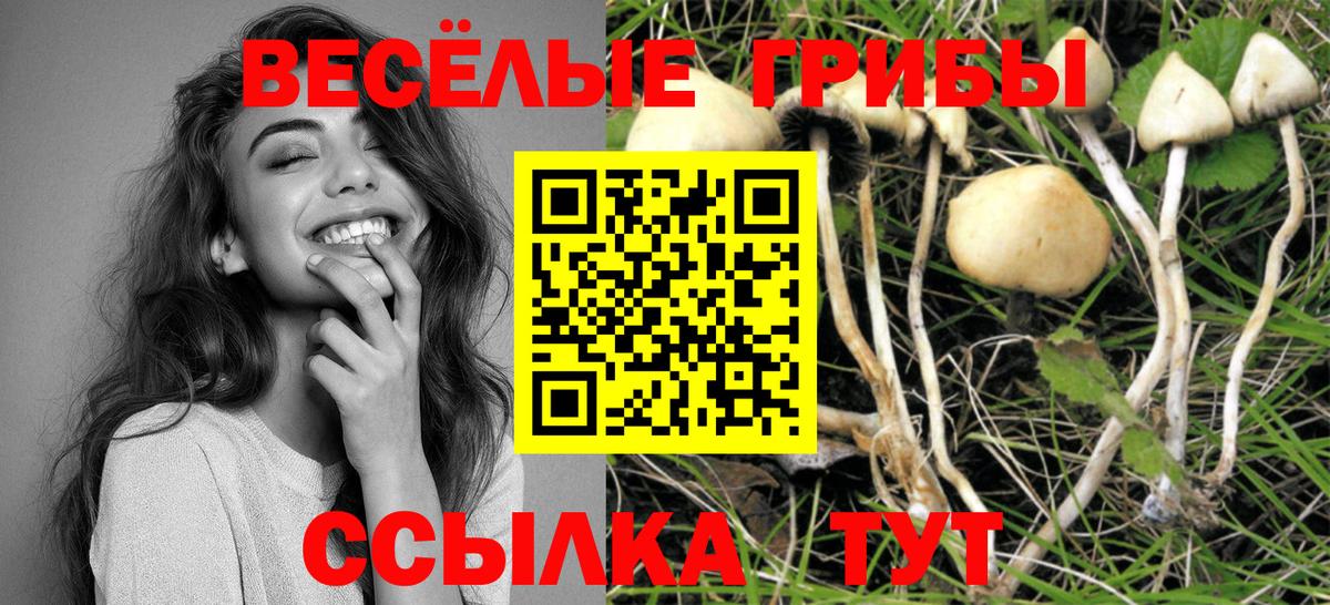 купить закладку  Галлюциногенные грибы GOLDEN TEACHER  Вход с VPN  Лабинск 